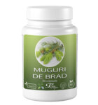 Muguri de brad